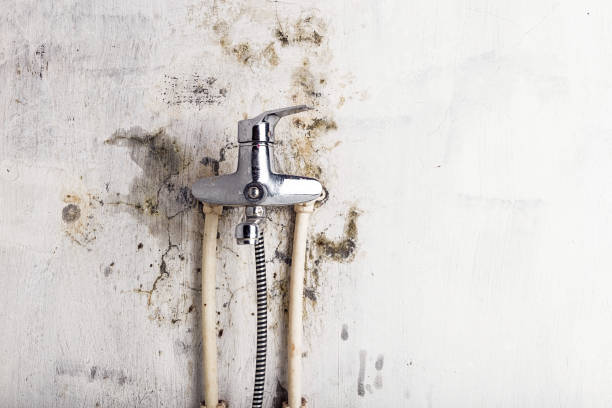 Best Professional Mold Removal  in Agency Village, SD