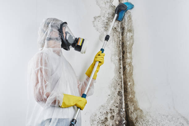 Best Emergency Mold Removal  in Agency Village, SD