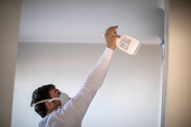 Best Home Mold Removal  in Agency Village, SD