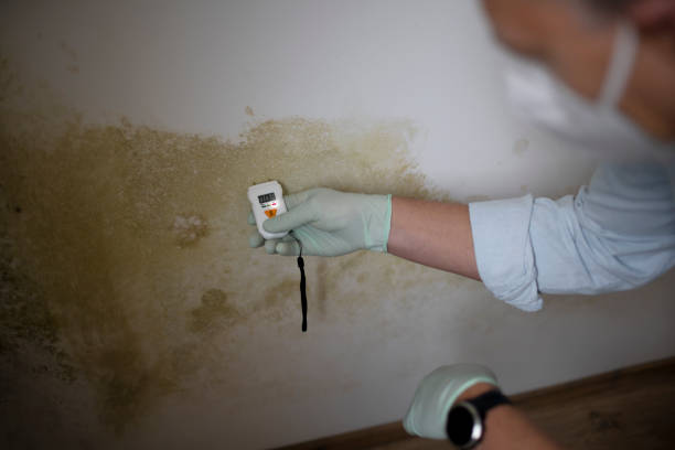Best Mold Testing  in Agency Village, SD