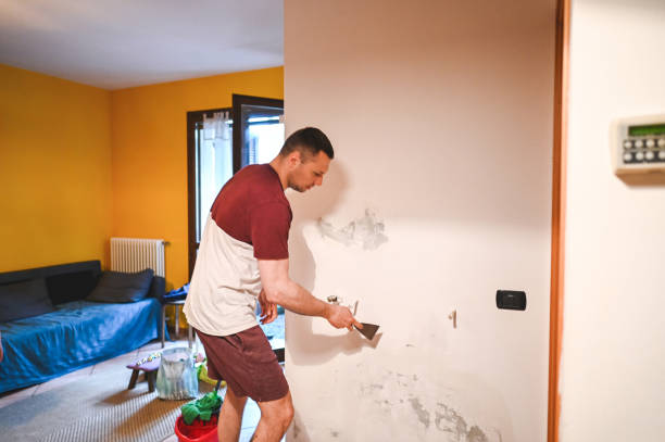 Best Crawl Space Mold Removal  in Agency Village, SD