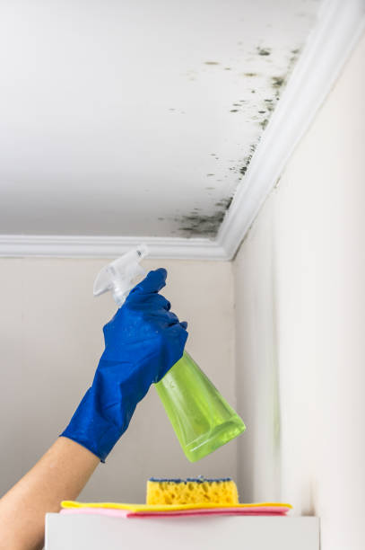 Water Damage Restoration in Agency Village, SD